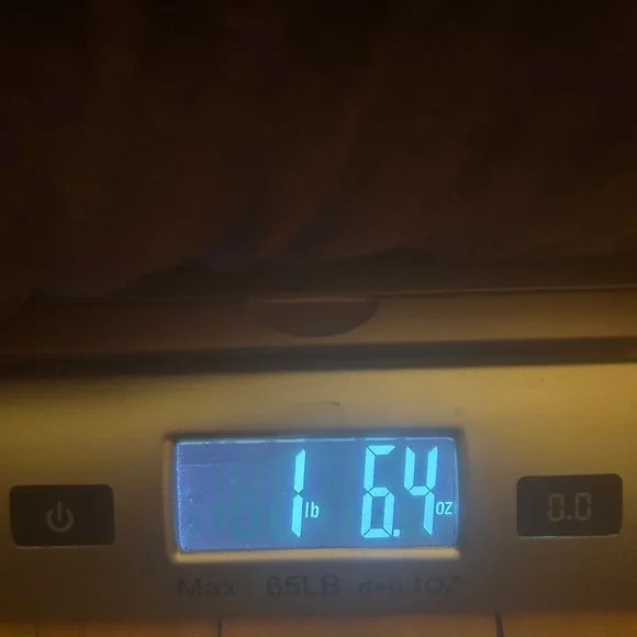 Coldwater Creek Dress Womens XL Dark Purple Velvet Maxi Whimsigoth Goth Witchy - Picture 9 of 9